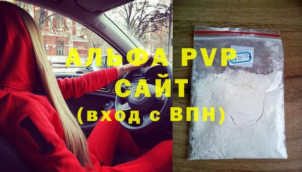 стаф Алексин