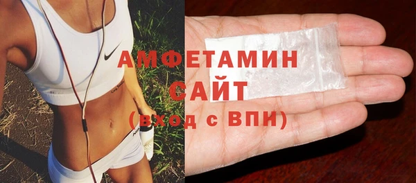 стаф Алексин